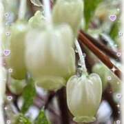 ヒメ日記 2026/04/10 23:31 投稿 らん 熟女の風俗最終章 宇都宮店