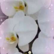 ヒメ日記 2026/04/13 05:01 投稿 らん 熟女の風俗最終章 宇都宮店