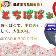 ヒメ日記 2026/04/14 14:22 投稿 らん 熟女の風俗最終章 宇都宮店