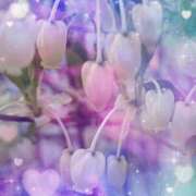 ヒメ日記 2026/04/14 23:21 投稿 らん 熟女の風俗最終章 宇都宮店