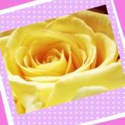 ヒメ日記 2026/04/21 05:21 投稿 らん 熟女の風俗最終章 宇都宮店