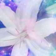 ヒメ日記 2026/04/24 05:41 投稿 らん 熟女の風俗最終章 宇都宮店