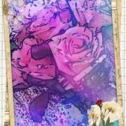 ヒメ日記 2026/05/23 05:11 投稿 らん 熟女の風俗最終章 宇都宮店