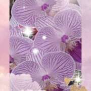 ヒメ日記 2026/08/20 04:51 投稿 らん 熟女の風俗最終章 宇都宮店