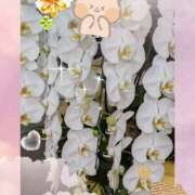 ヒメ日記 2026/08/21 23:38 投稿 らん 熟女の風俗最終章 宇都宮店