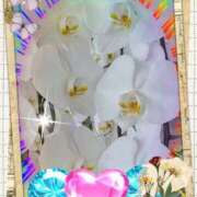 ヒメ日記 2026/10/09 23:03 投稿 らん 熟女の風俗最終章 宇都宮店