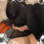 ヒメ日記 2024/12/16 18:36 投稿 いおり ギン妻パラダイス 十三店