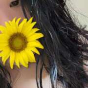 ヒメ日記 2025/06/21 12:04 投稿 いおり ギン妻パラダイス 十三店