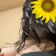 ヒメ日記 2025/06/25 19:01 投稿 いおり ギン妻パラダイス 十三店