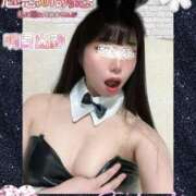 ヒメ日記 2026/03/30 23:46 投稿 ゆず T-BACKS てぃ～ばっくす栄町店
