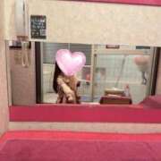 ヒメ日記 2026/04/16 14:01 投稿 めい☆可愛い天使が癒します♪ 妹系イメージSOAP萌えフードル学園 大宮本校