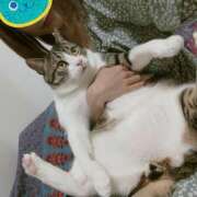 ヒメ日記 2025/05/03 09:26 投稿 しおん 越谷マッサージ＋