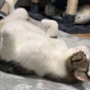 ヒメ日記 2025/07/01 10:12 投稿 しおん 越谷マッサージ＋