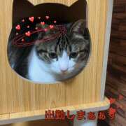 ヒメ日記 2025/09/26 17:05 投稿 しおん 越谷マッサージ＋