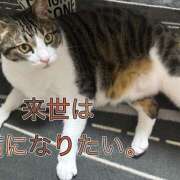 ヒメ日記 2025/10/09 09:03 投稿 しおん 越谷マッサージ＋