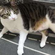 ヒメ日記 2025/11/26 17:00 投稿 しおん 越谷マッサージ＋