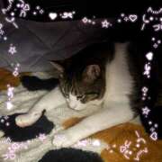 ヒメ日記 2025/12/12 12:56 投稿 しおん 越谷マッサージ＋