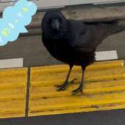 ヒメ日記 2026/01/30 15:07 投稿 しおん 越谷マッサージ＋