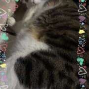 ヒメ日記 2026/02/03 19:10 投稿 しおん 越谷マッサージ＋