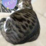 ヒメ日記 2026/02/25 09:09 投稿 しおん 越谷マッサージ＋