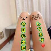 ヒメ日記 2026/04/09 14:32 投稿 しおん 越谷マッサージ＋