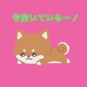 ヒメ日記 2026/06/09 12:18 投稿 しおん 越谷マッサージ＋
