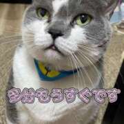 ヒメ日記 2026/08/20 14:14 投稿 しおん 越谷マッサージ＋