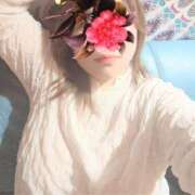 ヒメ日記 2025/03/11 11:09 投稿 みずき 香川高松ちゃんこ