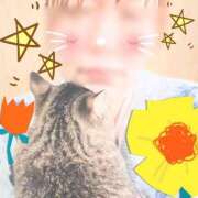 ヒメ日記 2025/03/30 18:59 投稿 みずき 香川高松ちゃんこ