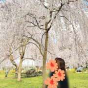 ヒメ日記 2025/04/04 08:49 投稿 みずき 香川高松ちゃんこ