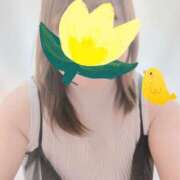 ヒメ日記 2025/04/19 10:19 投稿 みずき 香川高松ちゃんこ