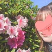 ヒメ日記 2025/04/29 09:29 投稿 みずき 香川高松ちゃんこ