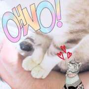 ヒメ日記 2025/05/19 21:09 投稿 みずき 香川高松ちゃんこ