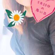 ヒメ日記 2025/05/20 23:29 投稿 みずき 香川高松ちゃんこ