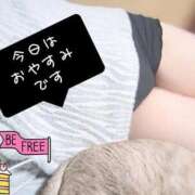 ヒメ日記 2025/05/22 08:49 投稿 みずき 香川高松ちゃんこ