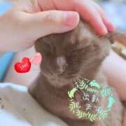 ヒメ日記 2025/06/11 10:10 投稿 みずき 香川高松ちゃんこ