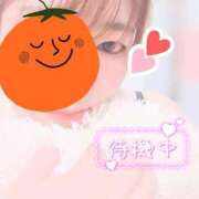 ヒメ日記 2025/06/13 20:29 投稿 みずき 香川高松ちゃんこ