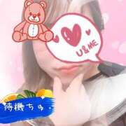 ヒメ日記 2025/07/19 12:29 投稿 みずき 香川高松ちゃんこ