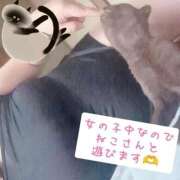 ヒメ日記 2025/09/23 13:01 投稿 みずき 香川高松ちゃんこ