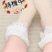 ヒメ日記 2025/11/15 14:49 投稿 みずき 香川高松ちゃんこ