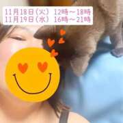 ヒメ日記 2025/11/16 16:49 投稿 みずき 香川高松ちゃんこ