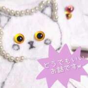 ヒメ日記 2025/12/15 12:39 投稿 みずき 香川高松ちゃんこ