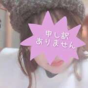 ヒメ日記 2025/12/19 09:49 投稿 みずき 香川高松ちゃんこ