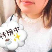 ヒメ日記 2025/12/31 12:29 投稿 みずき 香川高松ちゃんこ