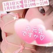 みずき こんにちは 香川高松ちゃんこ