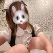 ヒメ日記 2025/04/07 09:22 投稿 かりな アリスカフェ