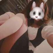 ヒメ日記 2025/06/30 09:06 投稿 かりな アリスカフェ