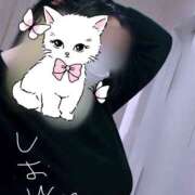 ヒメ日記 2025/11/26 15:54 投稿 しおん ぽちゃぶらんか金沢店（カサブランカグループ）