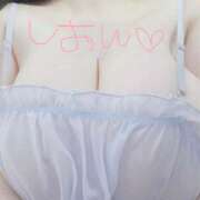 ヒメ日記 2026/01/10 14:42 投稿 しおん ぽちゃぶらんか金沢店（カサブランカグループ）