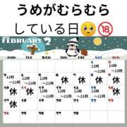 ヒメ日記 2025/02/01 19:16 投稿 うめ 西川口こんにちわいふ（シンデレラグループ）